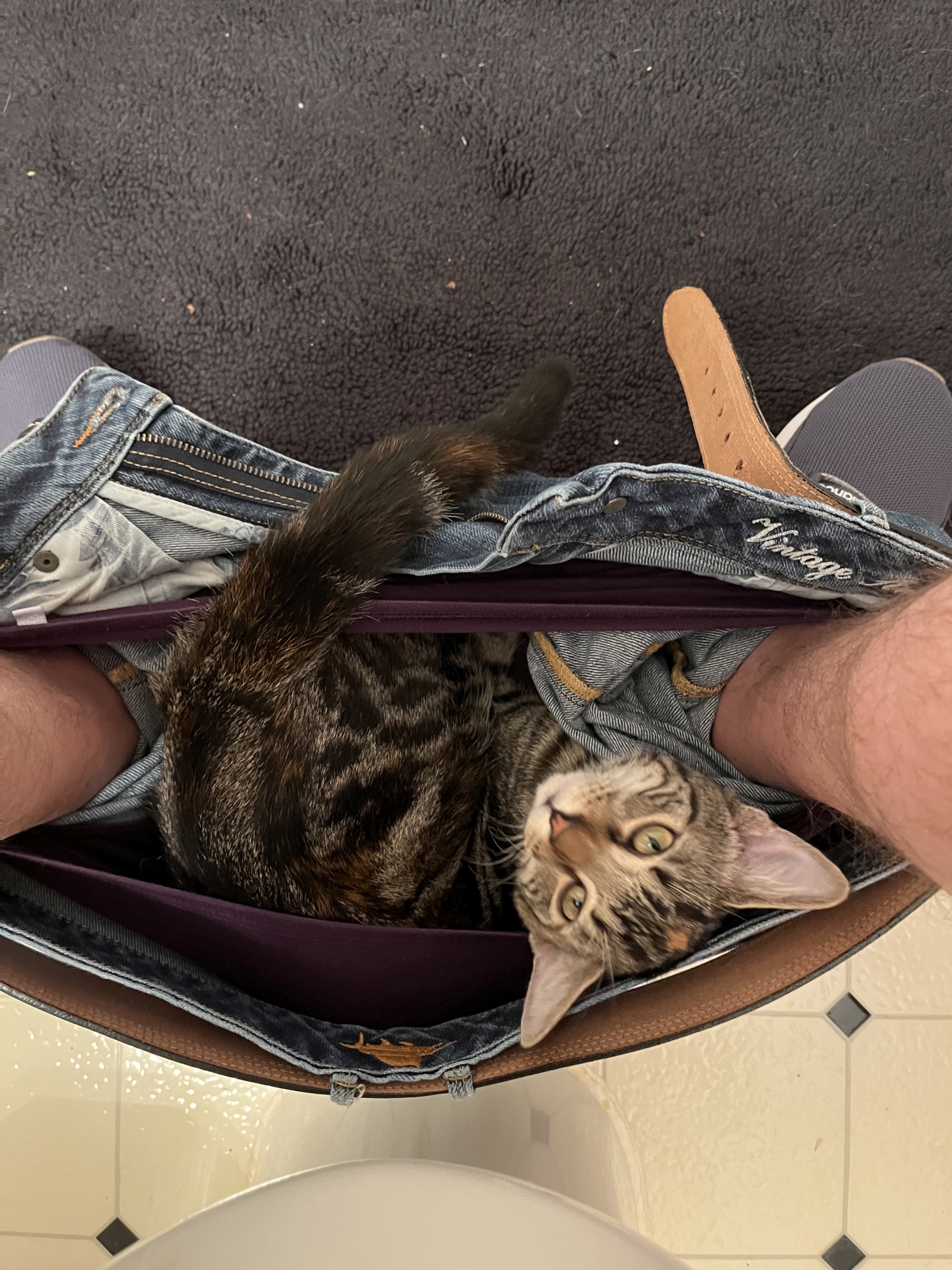 pants